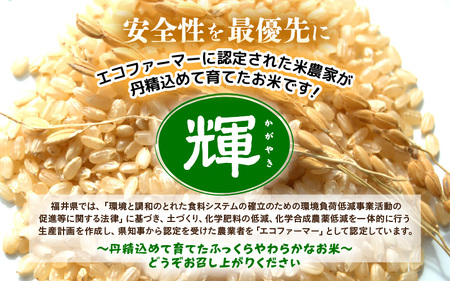 【先行予約】米 令和7年産 ハナエチゼン 30kg（玄米）【2025年9月上旬以降順次発送予定】 [m76-d001]