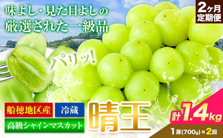 高級 シャインマスカット 2ヶ月 定期便 [2026年先行予約] ぶどう 晴王  1.4kg 岡山県産 《9月上旬-10月中旬頃出荷(土日祝除く)》 ハレノフルーツ マスカット 送料無料 岡山県 浅口市 フルーツ 果物 贈り物 ギフト 国産 岡山県産【配送不可地域あり】（北海道・沖縄・離島）