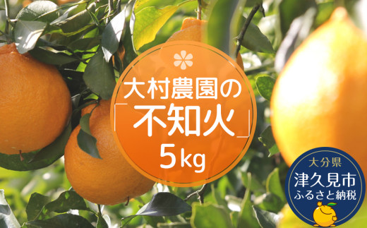 【先行予約・みかん】大村農園のみかん 不知火みかん 5kg | ミカン 津久見みかん 箱みかん しらぬいミカン 不知火ミカン 絶品みかん 蜜柑 オレンジ 果実 旬のフルーツ 大分県産 九州産 津久見市