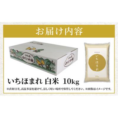 ふるさと納税 大野市 【令和7年産】福井県産 いちほまれ(白米)10kg |  | 02
