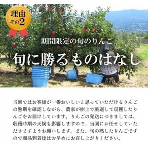 【南信州あじさい農園】葉とらずりんご(グラニースミス)約15kg【1593255】