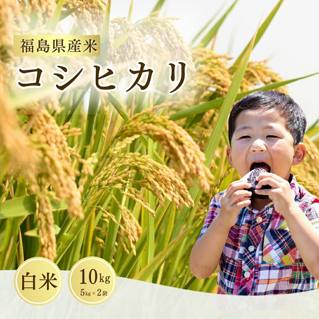 【ふるさと納税】【先行予約】 コシヒカリ 白米 10kg (5kg×2袋) ｜ 福島 福島県産 福島産 精米 米 お米 令和7年産 令和7年産米 武田ファーム サムランド
