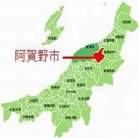 【令和8年産新米】整粒率95％の1等米！！ 阿賀野市産「新之助」無洗米 5kg 中島農場 精米 新潟県 米 こめ コメ お米 ごはん ご飯 農家直送 色彩選別済 新米 新米予約 令和8年産 9月下旬よ