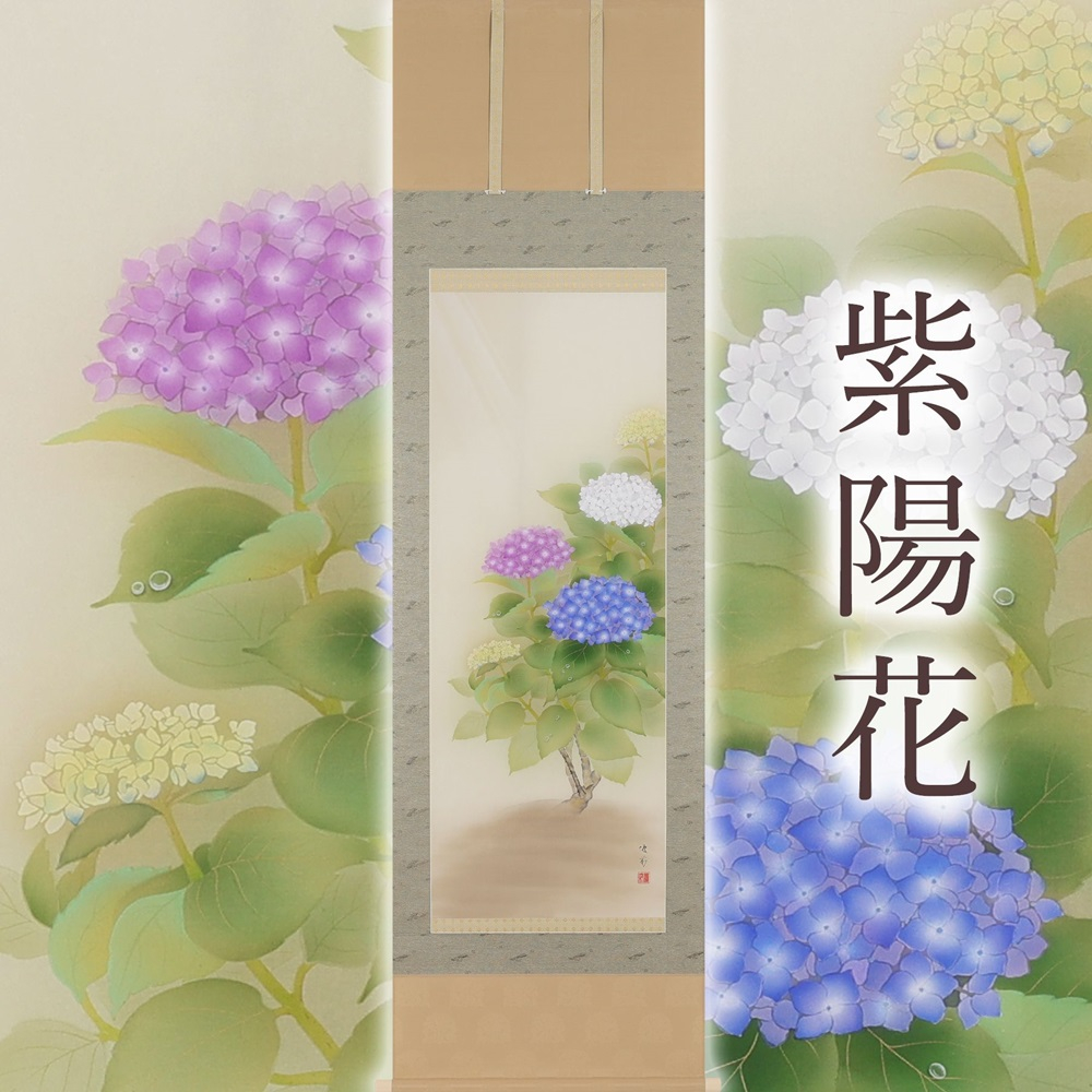 
                  掛け軸「紫陽花」鈴木優莉 尺五立 掛軸 [1228]
                