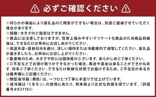 ＜ R8年熊本地震復興支援 ＞トマト S ～ M玉 10個入り （ 約1kg ） くまモンの顔型保冷箱つき （ 白色 ） とまと 野菜 やさい くまモン 保冷箱 サラダ 国産 熊本県産 冷蔵 贈り物 