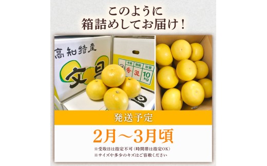 土佐文旦 贈答用 文旦 高級 3Lサイズ 7個 文旦 3Lサイズ 大玉 ぶんたん 柑橘 土佐文旦 柑橘類 フルーツ 旬 常温 果汁 ふるさと納税果物 ふるさと納税文旦 ふるさと納税フルーツ デザート 