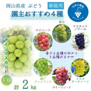 岡山　花笑み農園の『園主おすすめぶどう4種セット』(4房)家庭用　4M-2R家【9月下旬～順次発送】【配送不可地域：離島・北海道・沖縄県】【1626799】