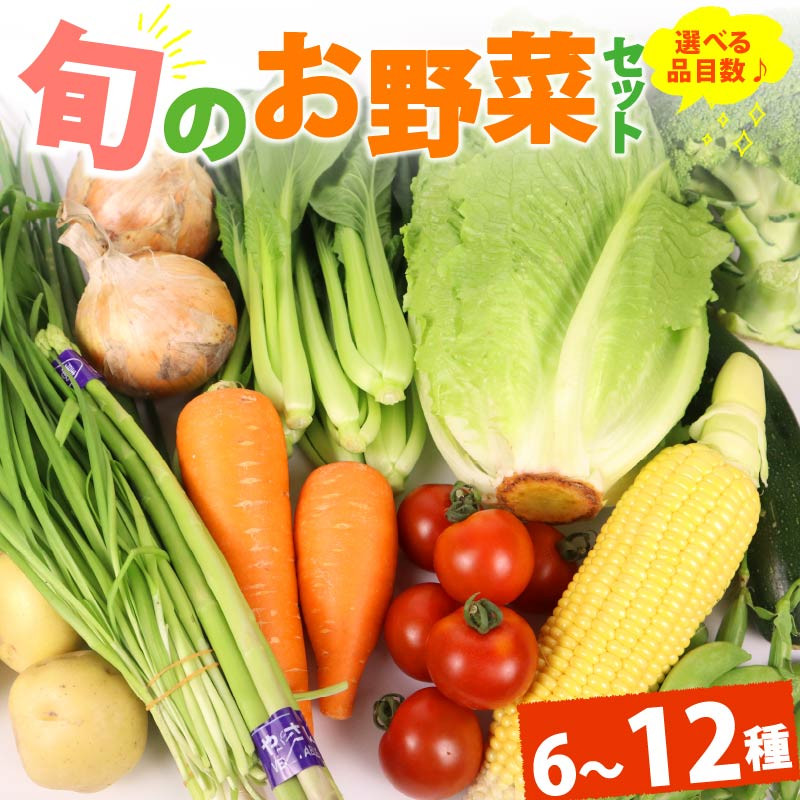 
            野菜 セット 6~12品目 以上 お野菜 季節 野菜 旬 新鮮 産地直送 詰め合わせ やさい おいしい 自然 セット 美味しい たっぷり 丸新柴本製茶 静岡県 牧之原市
          