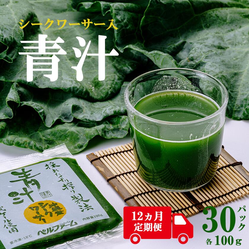 【ふるさと納税】青汁シークワーサー入り 100g×30パック【12ヵ月定期便】＜離島・沖縄配送不可＞ | 茨城県 つくば市 飲料 ドリンク 青汁 あおじる 健康 無添加 有機ケール オーガニックケール