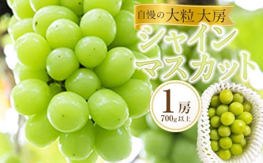 
            ぶどう 2025年 先行予約 黒川農園 自慢 ! の 大粒 大房 シャイン マスカット 1房 700g以上 ブドウ 葡萄  岡山県産 国産 フルーツ 果物 ギフト
          