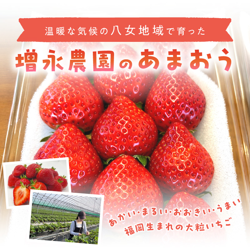 【増永農園】 あまおう 270g×2パック 【2026年1月より順次発送】 ジューシー フレッシュ 苺 果物 くだもの スイーツ作り 数量限定 イチゴ 期間限定 美味しい いちご 福岡県 八女市