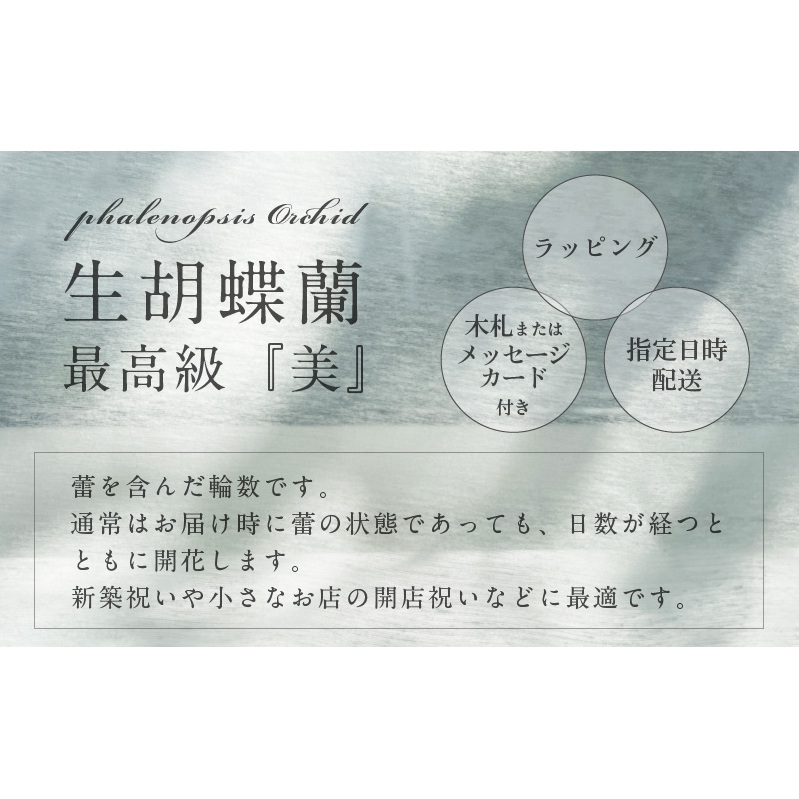 3本立て 胡蝶蘭 42輪～45輪 白色【木製大型木札 または メッセージカード 付き ラッピング お祝い ギフト 贈答 贈り物 プレゼント 生花 花 農福連携】 099H383_イメージ2