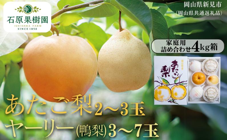 
            家庭用 詰め合わせ 4kg箱 青秀 あたご梨2～3玉・ヤーリー(鴨梨)3～7玉【先行予約 2026年11月中旬から順次発送】
          