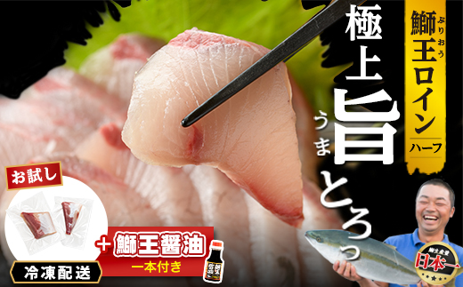 【冷凍】ぶりの王様「 鰤王 」お試しスキンレスロインハーフ 2P入り【鰤王しょう油付】 ぶり ブリ 鰤 ぶりしゃぶ たたき 産地直送 新鮮 旨味が抜群の 長島町 特産品【JFA】_jfa-1679B