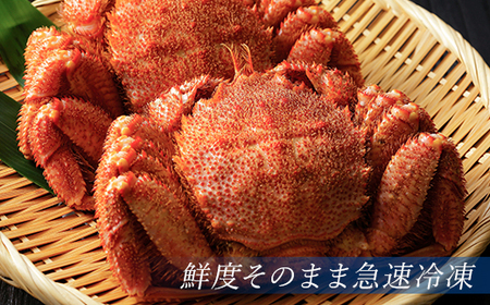 【訳あり】北海道・噴火湾産冷凍ボイル毛ガニ約350g前後×2尾 ＜海鮮問屋　株式会社　瑞宝＞ かに カニ 蟹 ガニ がに 森町 ふるさと納税 北海道 毛蟹 毛かに 毛ガニ 毛カニ mr1-1166