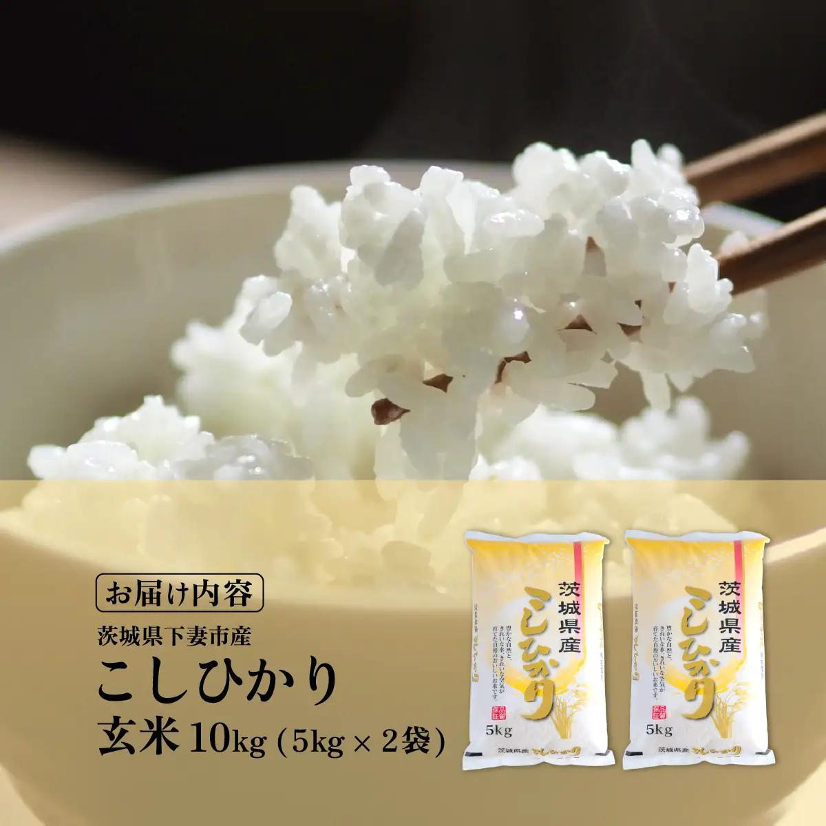 玄米 10kg コシヒカリ 令和7年産 玄米