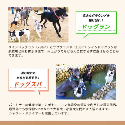 AL6007n_『パートナーズハウスゆあさ』ランチ付き・日帰り利用券（2名様+1頭）