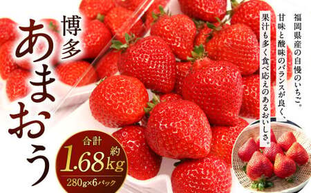 福岡県産 博多あまおう 約1.68kg (約280g×6パック入り)【2025年1月下旬～3月下旬発送予定】 いちご 苺 果物 フルーツ