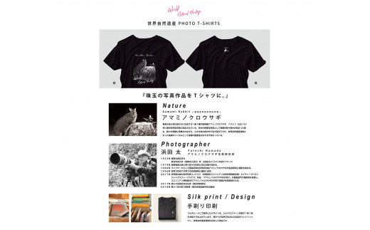 世界自然遺産 PHOTO T-SHIRT アマミノクロウサギ（size L）　A107-004-02