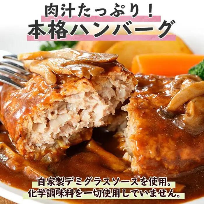 無地熨斗 こだわり 手作り 自家製 煮込み ハンバーグ 170g×2個 ＆ ひじき豆腐ハンバーグ160g×2個 食べ比べ 新潟県　 南魚沼市 計4個 約4人前