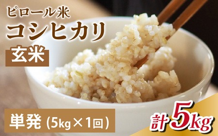 【先行予約】25年10月中旬以降順次発送　富山県滑川産 弱アルカリ性米「ピロール農法米 コシヒカリ」与文のお米（玄米5kg）産地直送 袋  おにぎり お米 白米 国産 ご飯 ごはん 富山県 滑川市 アグリめぐみ A-050001 アトピー 米