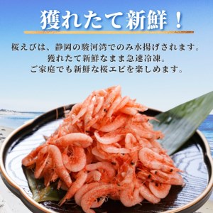焼津特選 釜揚げ桜えび 100g×5 (a15-560)
