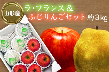 【2026年発送】ラフランス＆ふじりんごセット約3kg_H073(R8)