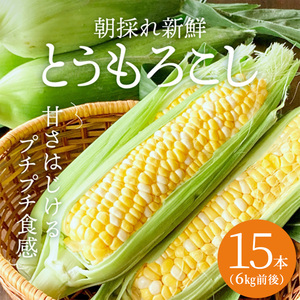 とうもろこし 朝どれ とうもろこし 2027年産【15本 約6kg】【冷蔵】