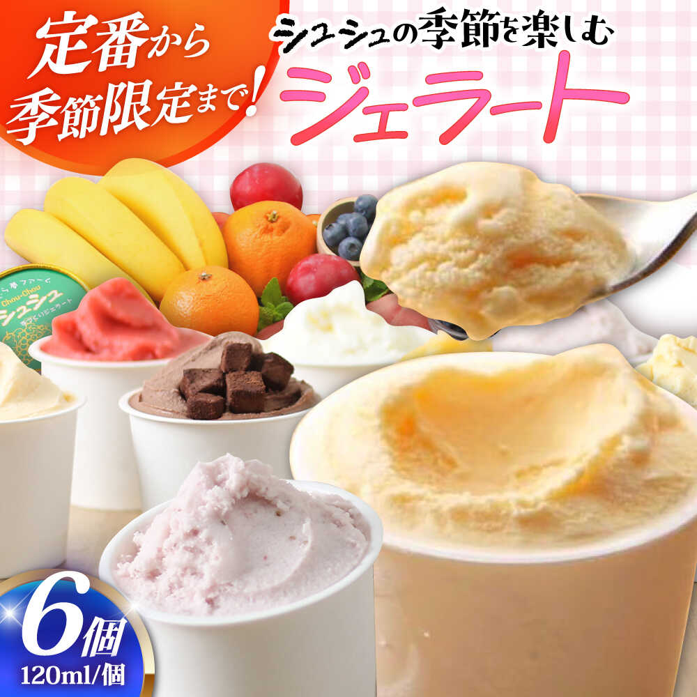 【ふるさと納税】シュシュ 季節のジェラート6個セット / アイス アイスクリーム ジェラート スイーツ / 大村市 / おおむら夢ファームシュシュ[ACAA423]