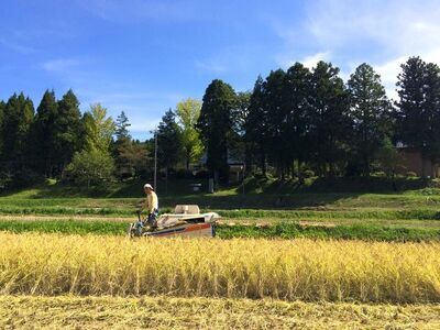 のと自然栽培米みのり 白米 5kg ※2025年12月中旬～2026年3月下旬頃に順次発送予定