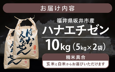 【令和7年産】坂井市産 ハナエチゼン10kg (5kg × 2袋) 【白米】 米 コメ お米 華越前 [C-10201_01]