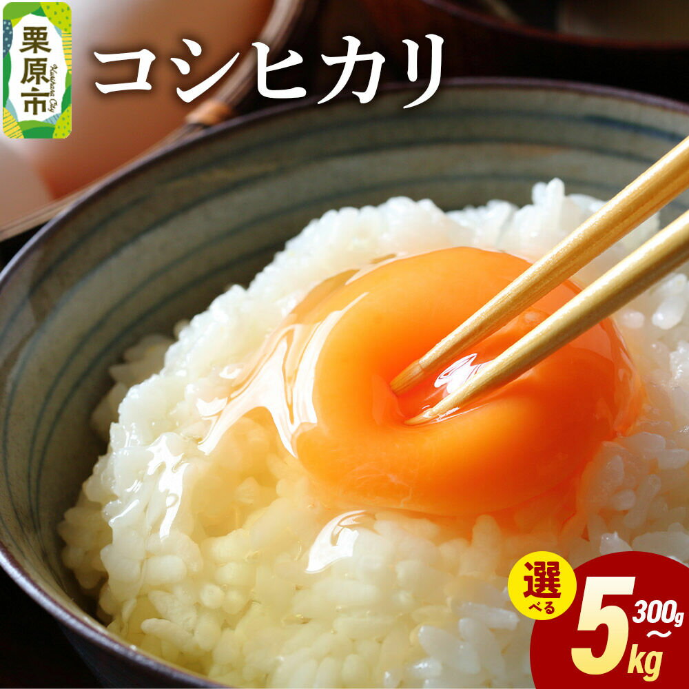 【ふるさと納税】米 白米 令和7年産 コシヒカリ 【選べる内容量：300g／2kg／5kg】 [ふるさと納税 米 コシヒカリ お試し 選べる セット 300g 2kg 5kg こめ 精米 白米 おいしい 美味 宮城県 栗原市 栗原フードサービス]