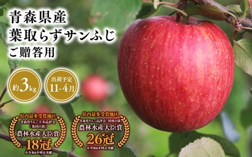 
                  2025年産１１月～４月発送　贈答用葉とらずサンふじ3kg【青森県 平川市 そと川りんご園】１１月～４月発送 贈答 青森 青森県産 平川 葉とらず サンふじ ふじ りんご リンゴ 林檎 くだもの 果物 フルーツ 
                