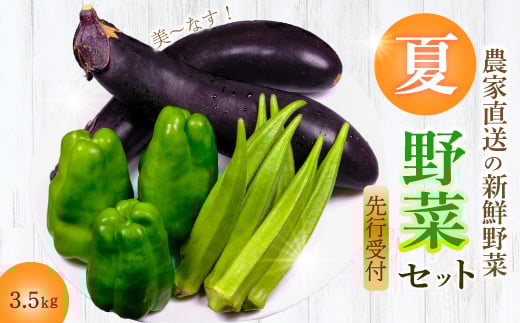 【先行受付】みのる農園 農家直送！夏野菜セット(ピーマン、ナス、オクラ)3.5kg やさい 詰合せ BBQ 2025年7月～10月上旬お届け 広島県三原市 206002