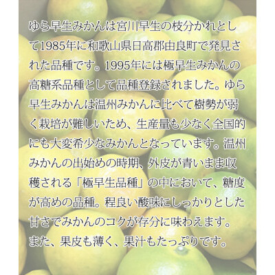 紀州和歌山有田産ゆら早生みかん 5kg ※2025年10月上旬～10月末頃に順次発送予定_イメージ2