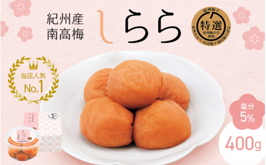 紀州産南高梅 梅干し しらら （塩分5％）400g / A級品 梅干し 梅干 梅 中田食品 和歌山 田辺 紀州南高梅 南高梅 うす塩 減塩 塩分控えめ ご飯のお供【nkt010-1】