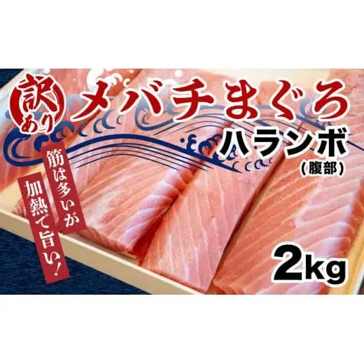 【訳あり】メバチマグロハランボ2kg 鮪 鮪 鮪 鮪 鮪 TY014