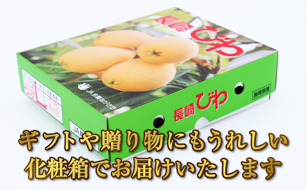 長崎 高級 ハウス びわ 化粧箱入り 500g 枇杷 ギフト 贈答用 果物 フルーツ くだもの