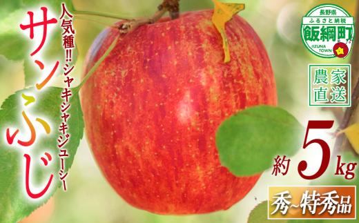りんご サンふじ 秀 ～ 特秀 5kg 渡辺農園 沖縄県への配送不可 2026年12月上旬頃から2027年1月中旬頃まで順次発送予定 令和8年度収穫分 エコファーマー認定 減農薬栽培 長野県 飯綱町 [0169]