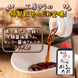 isa781 2025年12月発送分 黒豚 にんにく餃子 計152個 8個入り 19P 【工房ゆう】