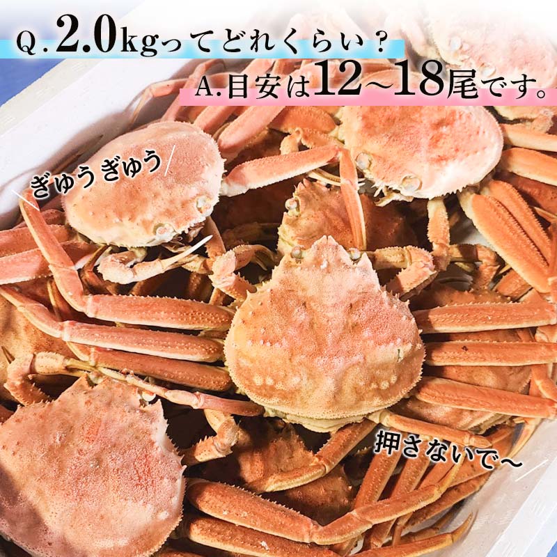 【訳あり】浜茹でセコガニ（メスのカニ/外子付き）2kg 詰め込みセット 北海道噴火湾産 ＜道産ネットミツハシ＞ かに カニ 蟹 がに 北海道 森町 ふるさと納税 mr1-0727_イメージ3