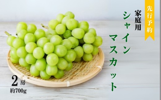 【2026年先行予約】訳あり シャインマスカット 約700g（2房） | ぶどう 葡萄 ブドウ 白ぶどう 家庭用 朝採り 新鮮 朝摘み 種無し 種なし 皮ごと 信州 長野県 千曲市