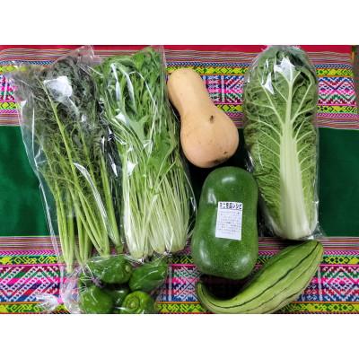 ふるさと納税 下妻市 【毎月定期便】お楽しみ★農園自慢の情熱野菜セット7袋　フードロス対策　訳あり　規格外全6回 |  | 01