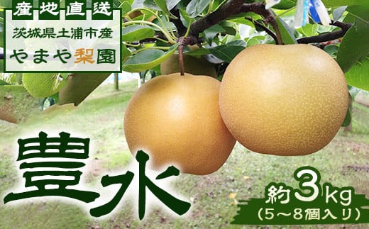 【先行予約】豊水約3kg（5～8個入り） ※2025年8月下旬～9月上旬頃に順次発送予定【茨城県産】 ※離島への配送不可