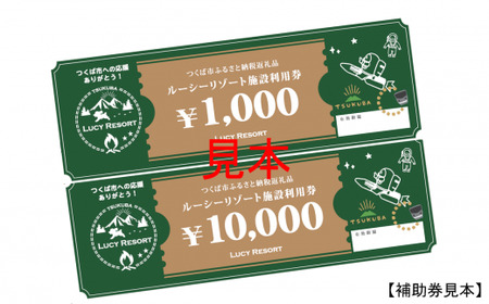 LUCY RESORT(ルーシーリゾート)利用補助券　150,000円分【 茨城県 つくば市 体験 チケット ドッグラン BBQ バーベキュー グランピング ペット 宿泊 】