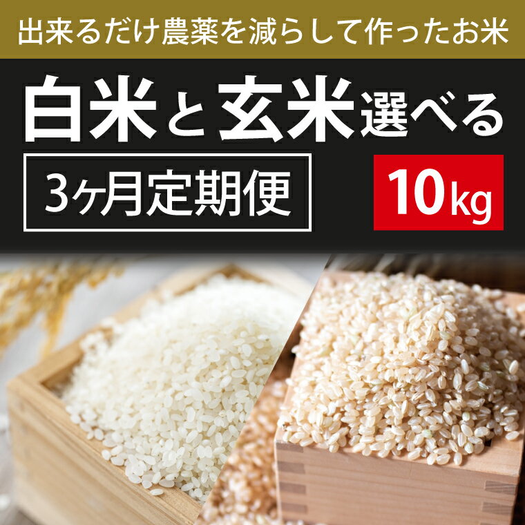 【ふるさと納税】【2026年10月より順次発送】3ヶ月定期便【できるだけ農薬を減らして作ったお米】こしひかり　10kg×3回（白米または玄米）(BI-82)