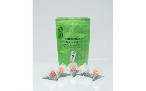 TSUMUKIYUTAKA　奥伊勢茶　ティーバッグ(5g×20)3袋　(2g×40)3袋／積木商店　特選茶　お茶　三重県　大台町