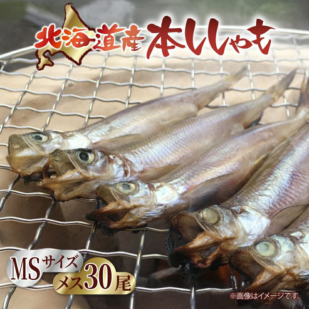 【ふるさと納税】北海道産 阿部水産 ししゃも メス MS 30尾セット 本ししゃも 雌 メス たまご 卵 北海道土産 季節限定 ほくほく 子魚 無添加 クール便 冷凍 送料無料 北海道 日高町