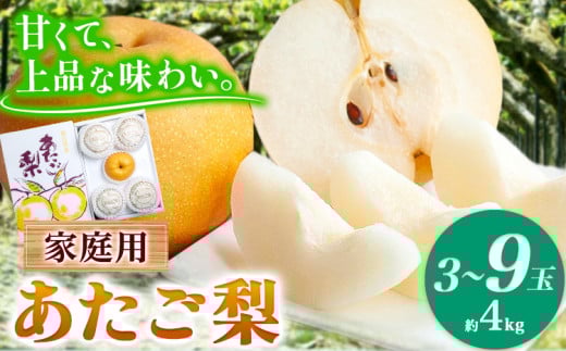 【先行予約】あたご梨 3～9玉 家庭用 約 4kg 箱 石原果樹園 《2025年11中下旬-2026年1月上旬頃より発送予定》岡山県 浅口市 梨 なし 果物 フルーツ くだもの あたご