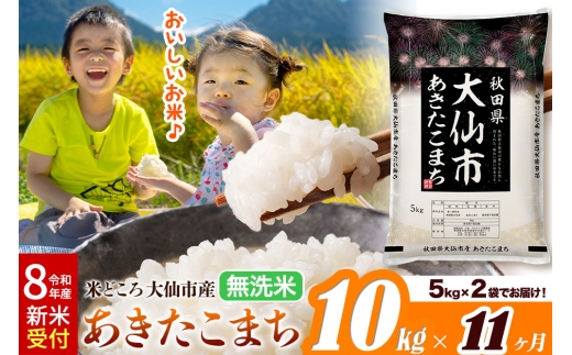 《令和8年産 新米受付》《定期便11ヶ月》あきたこまち【無洗米】米どころ秋田県大仙市産 あきたこまち 10kg（5kg×2袋） [米 お米 こめ 無洗米 精米 あきたこまち ブランド米 通算18回 特A 小分け ご飯 ごはん 米どころ 秋田県産 大仙市]